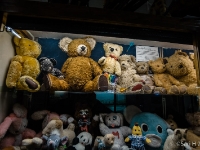 Cramped  More teddies in Toy museum. I must admit that the Toy museum part was a disappointment. Hardly any bears. : 2016, Christmas, Fujifilm XT-1, Joulu, Stockholm, Södermalm, Tukholma, kaupunki, town