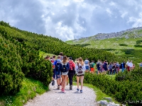 Get in line!  Yea, this is a popular destination among tourists. : 2016, AUT, Austria, Fujifilm, Itävalta, Krippenstein, LG G3, Oberösterreich, UNESCO, Winkl, digital image, kesäloma, luonto, maisema, matka, mountains, nature, phone image, scenery, summer holiday, traffic, vuoristo