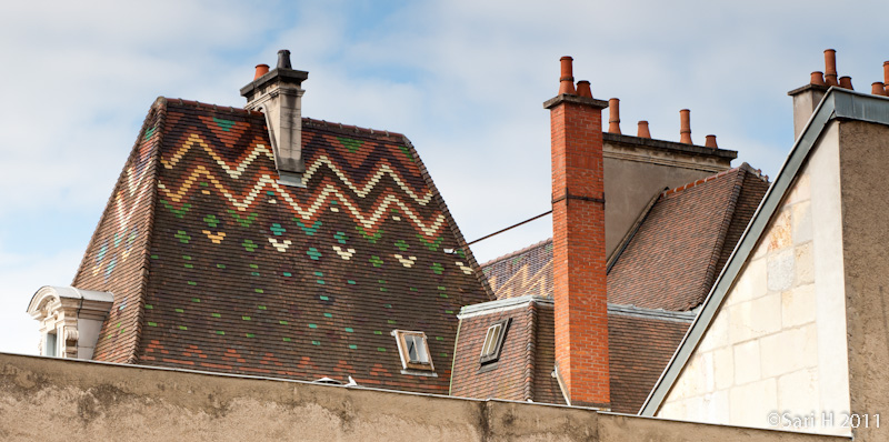 dijon-15.jpg - Dijon roofs