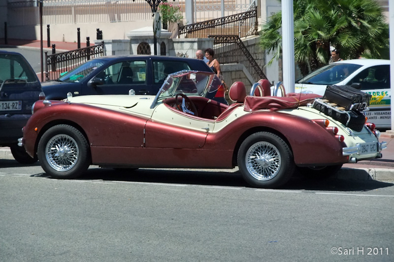 cannes-13.jpg - Good-looking sports car, not sure of the make though, looks a lot like Jaguar XK120