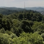 A view from the bell tower