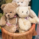 Three cute bears in a basket in Klagenfurt