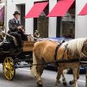 Horse carriage