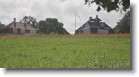 280605_17 * Roskilde fields * 1200 x 630 * (195KB)