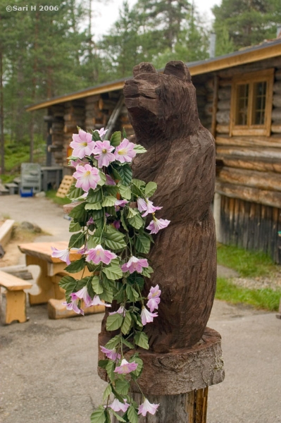 20060709_07.jpg - A Bear Den Stone in Inari