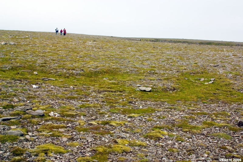 2006_07_08_16.jpg - Nordkapp