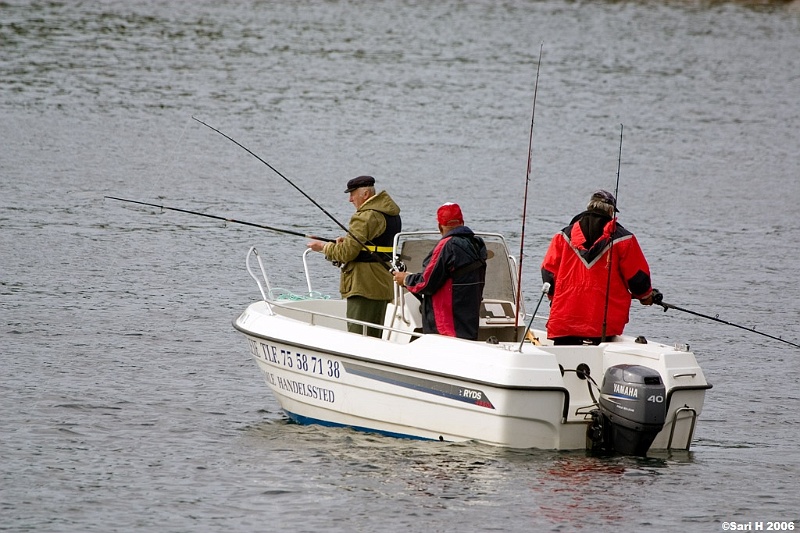 2006_07_06_20.jpg - Fishing in turbulent water in Saltstraumen