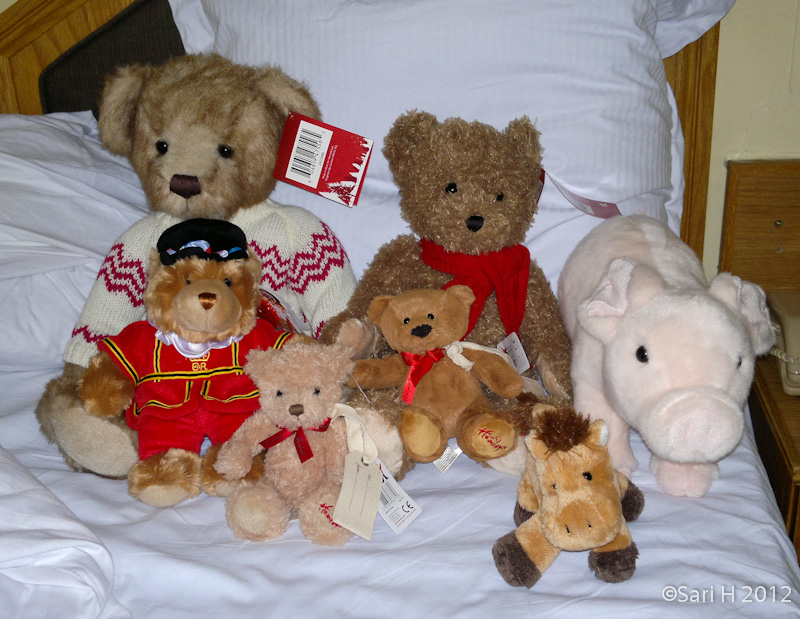 02112011775.jpg - Our new babies posing in our hotel room.