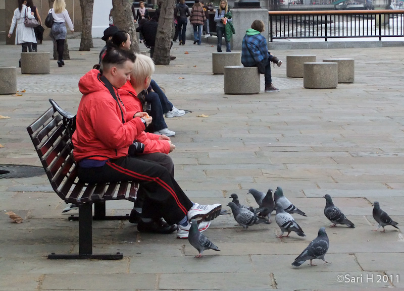 DSCF2674.jpg - Feeding the pigeons