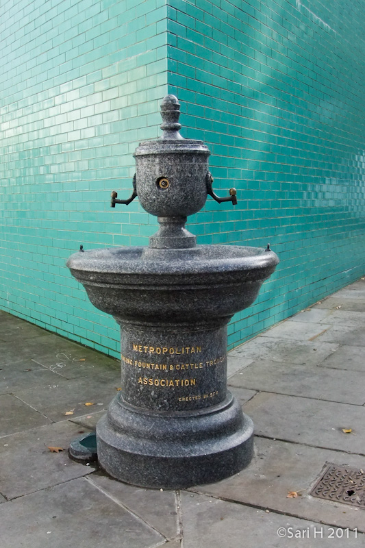 DSCF2814.jpg - Cattle fountain