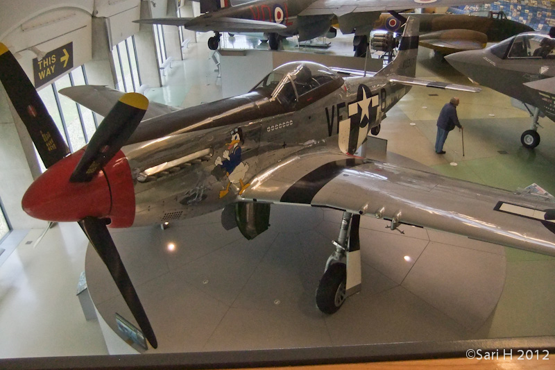 DSCF2893.jpg - P-51 Mustang