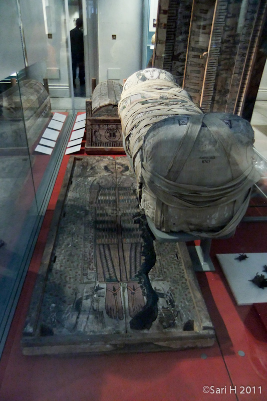 DSCF3376.jpg - A mummy