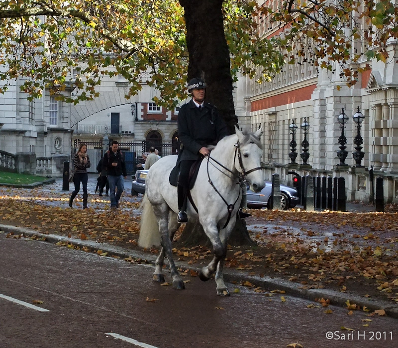 DSCF3625.jpg - A riding police officer at the Mall