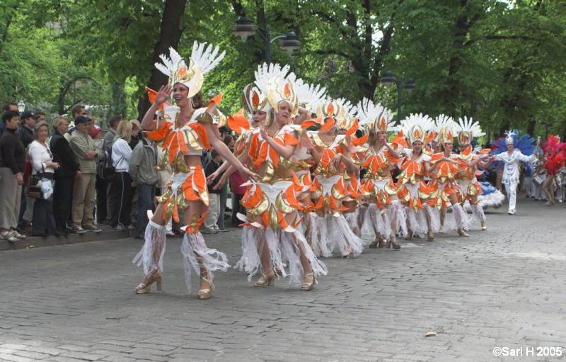 Sambakarnevaalit Helsingissä 11.06.2005