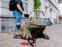 Koaks!  Frog having fun : 2016, Baden-Württemberg, DE, Fujifilm XT-1, Germany, Radolfzell am Bodensee, kaupunki, kesäloma, matka, summer holiday, town, travel