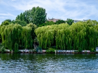 River Spree  Trees along the river bank. : 2016, Berliini, Berlin, Fujifilm, digital image, kaupunki, kesäloma, summer holiday, town