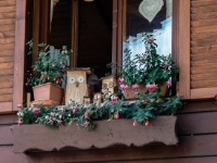 The owls are not what they seem  Some wooden owls on a window. : 2016, AUT, Austria, Fujifilm, Hallstatt, Itävalta, LG G3, Lahn, Oberösterreich, UNESCO, digital image, historia, history, kaupunki, kesäloma, phone image, summer holiday, town