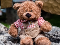 Austrian bear  A cute little bear was sitting close to the museum and I managed to take a picture of him before he vanished. : 2016, AUT, Austria, Fujifilm, Hallstatt, Itävalta, LG G3, Oberösterreich, UNESCO, digital image, historia, history, kaupunki, kesäloma, phone image, summer holiday, town