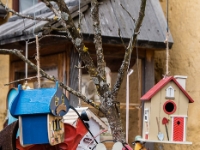 Feed the birds  Cute bird feeders for sale. I think. Didn't ask. : 2016, AUT, Austria, Fujifilm, Hallstatt, Itävalta, LG G3, Oberösterreich, UNESCO, digital image, historia, history, kaupunki, kesäloma, phone image, summer holiday, town