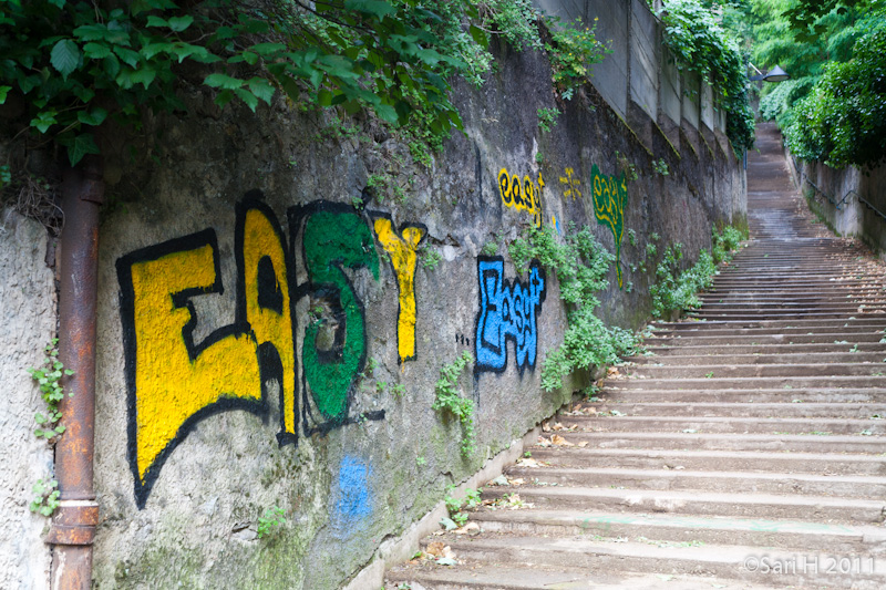 lyon-11.jpg - Stairs, veeeeeerryy loooooooooong stairs up to Fourvière