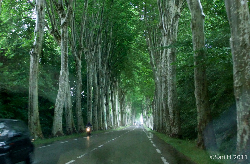 biarritz-1.jpg - On our way to Biarritz, yet another rainy day. Taken through Babe's windscreen so image quality is poor.