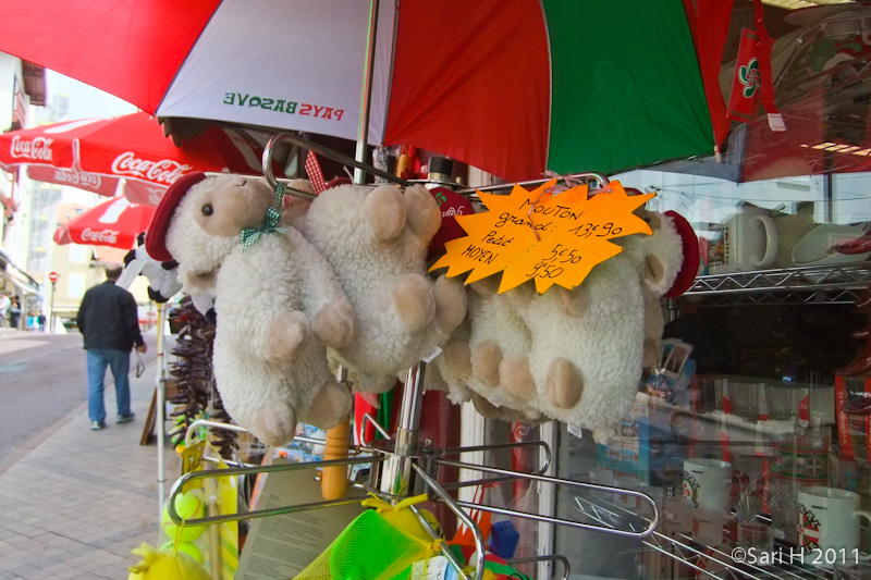 biarritz-20.jpg - French lambs waiting for new owners