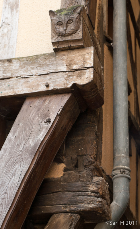 troyes-27.jpg - Ruelle des Chats (Alley of the Cats)