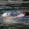 Anori having fun in the water