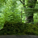 A pile of hay blocking the road