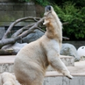 Anori eating and mother excercising