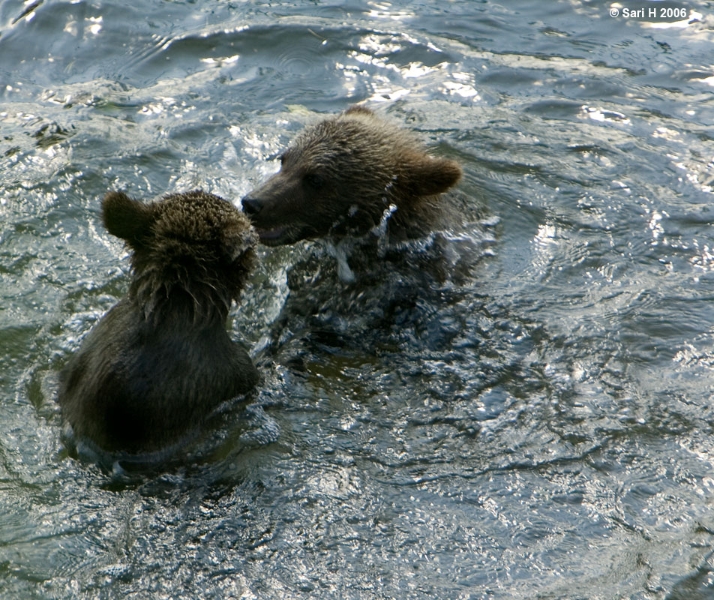 9142.jpg - Fighting on water